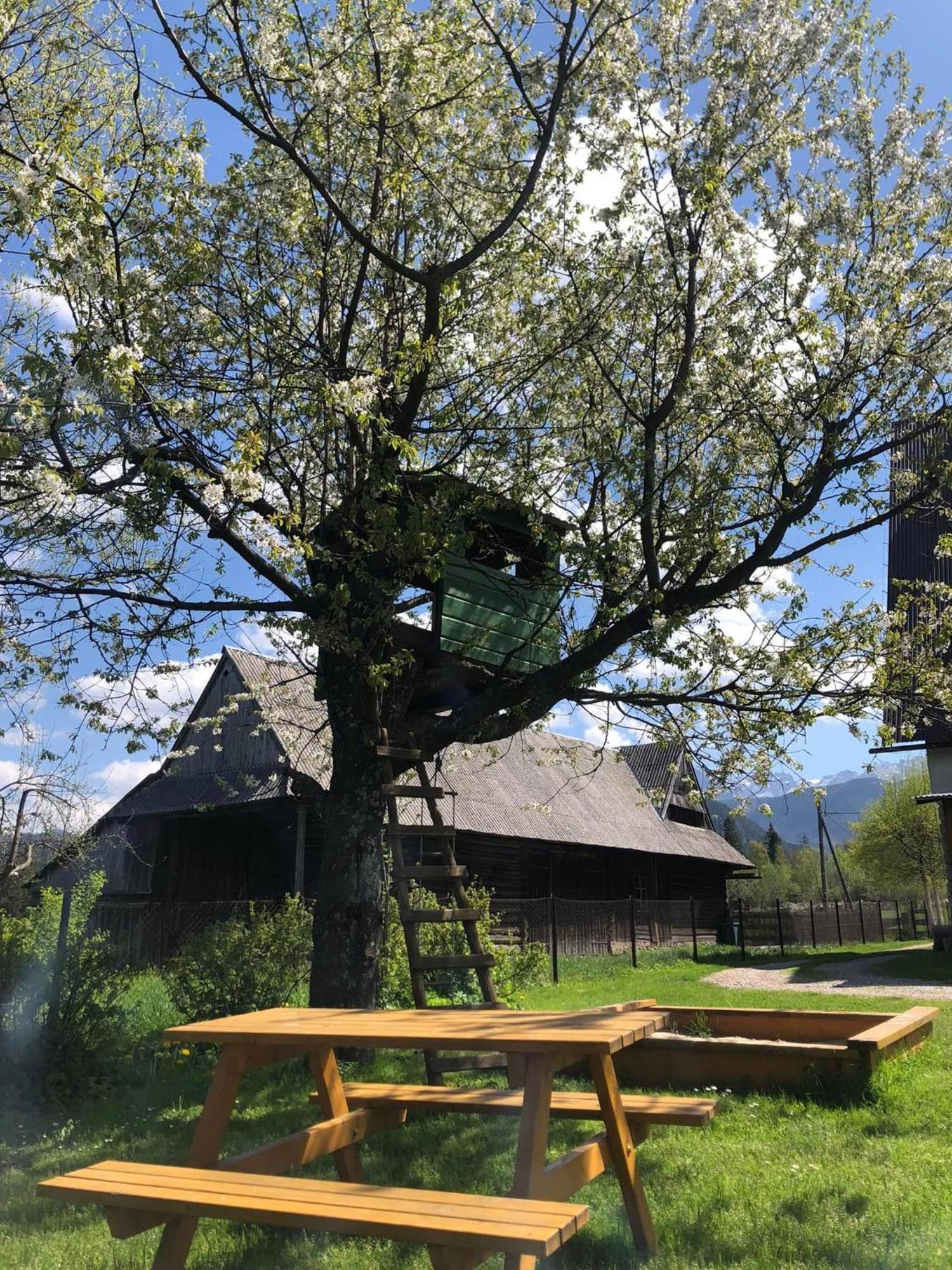 Pensjonat U Doroty, Zakopane - Twoje Miejsce W Gorach ภายนอก รูปภาพ